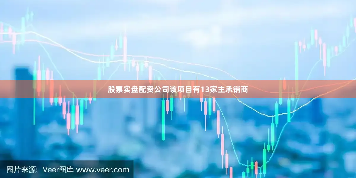 股票实盘配资公司该项目有13家主承销商